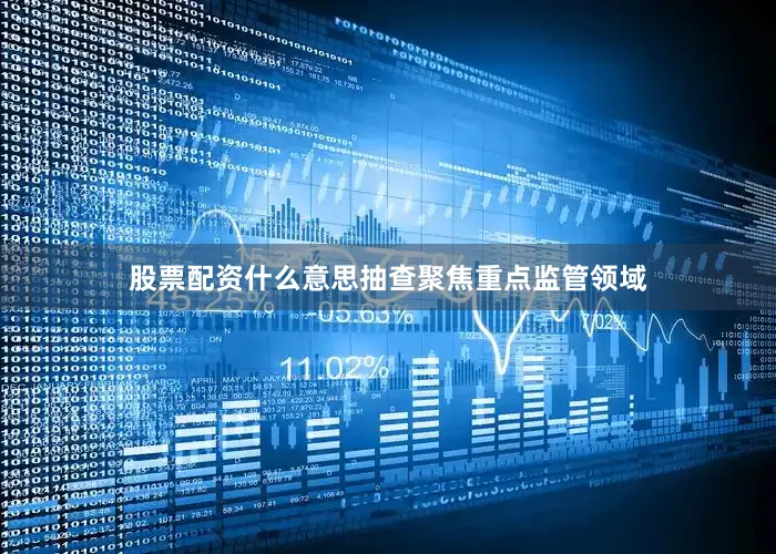 股票配资什么意思抽查聚焦重点监管领域