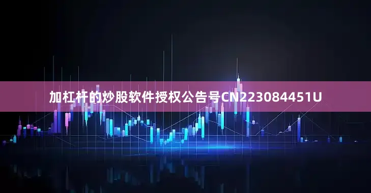 加杠杆的炒股软件授权公告号CN223084451U