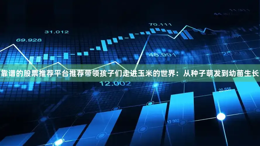 靠谱的股票推荐平台推荐带领孩子们走进玉米的世界：从种子萌发到幼苗生长