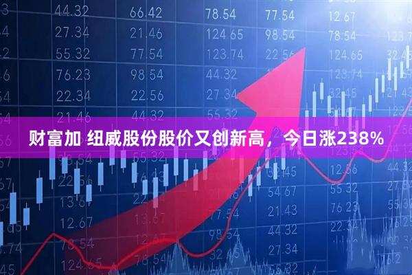 财富加 纽威股份股价又创新高，今日涨238%