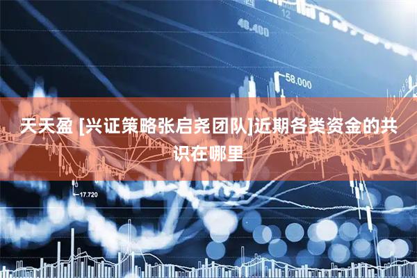 天天盈 [兴证策略张启尧团队]近期各类资金的共识在哪里