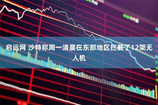启远网 沙特称周一清晨在东部地区拦截了12架无人机