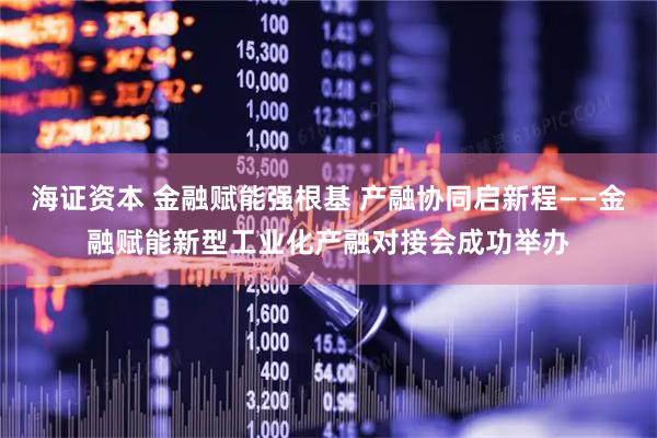 海证资本 金融赋能强根基 产融协同启新程——金融赋能新型工业化产融对接会成功举办