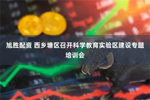 旭胜配资 西乡塘区召开科学教育实验区建设专题培训会