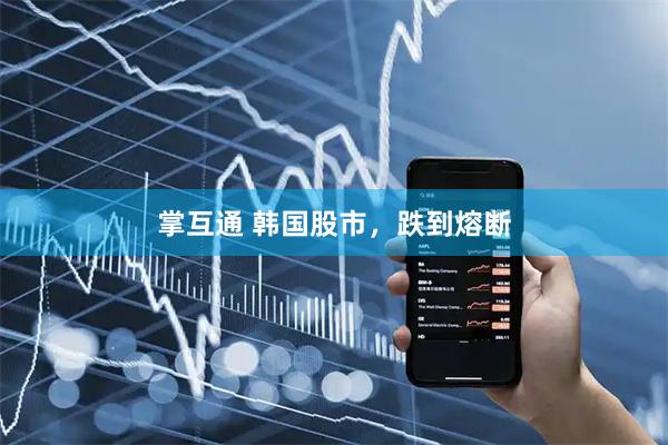 掌互通 韩国股市，跌到熔断