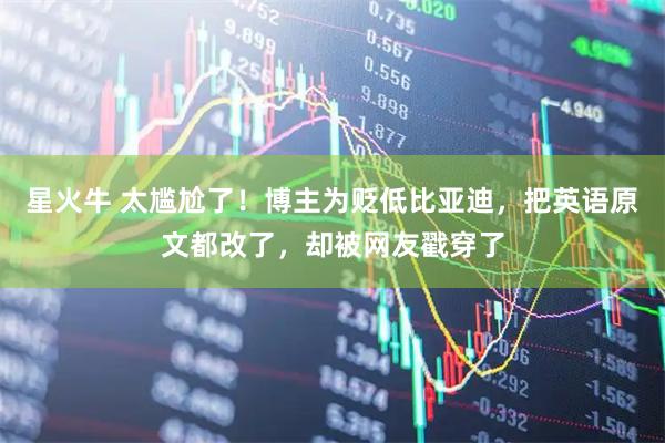 星火牛 太尴尬了！博主为贬低比亚迪，把英语原文都改了，却被网友戳穿了